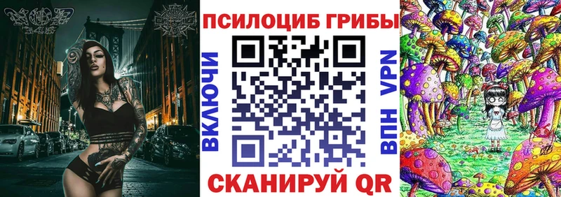 Купить  Губаха  Галлюциногенные грибы Cubensis 