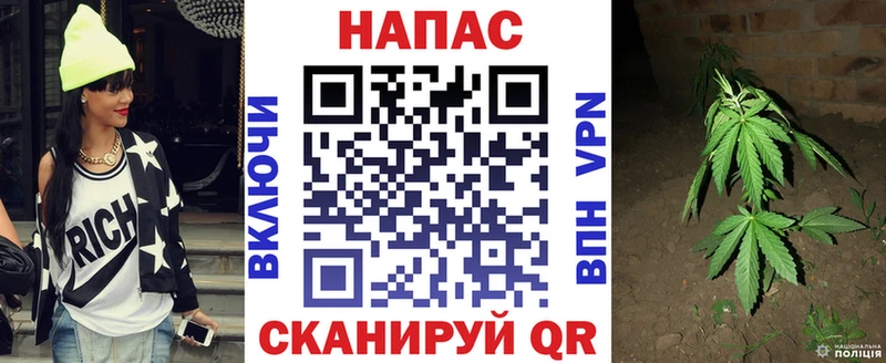 Марихуана Amnesia  Купить закладки  Губаха 